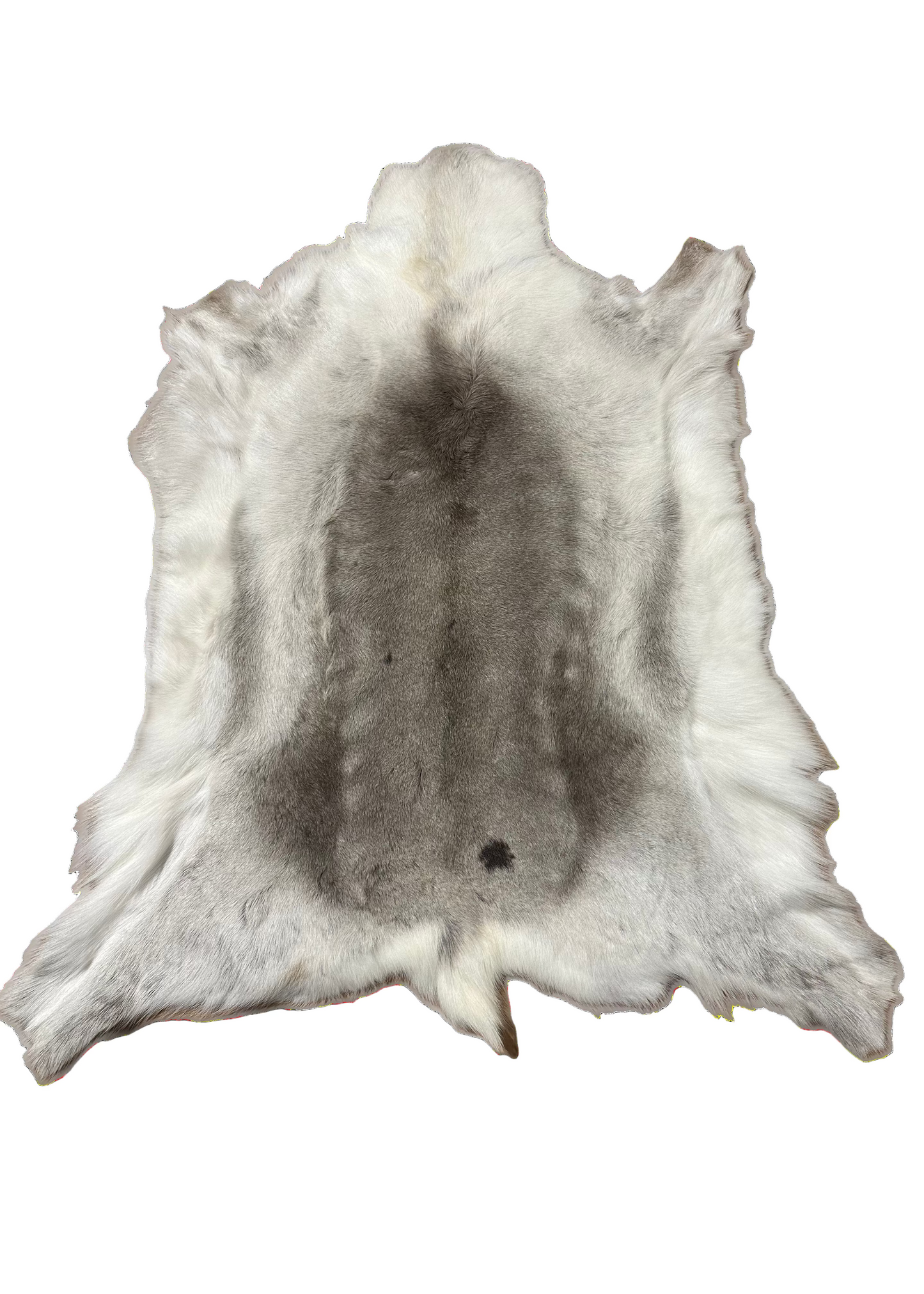 Reindeer hide