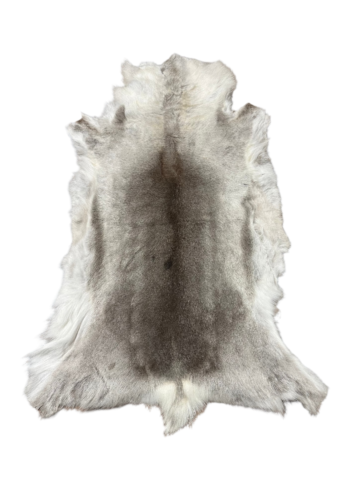 Reindeer hide