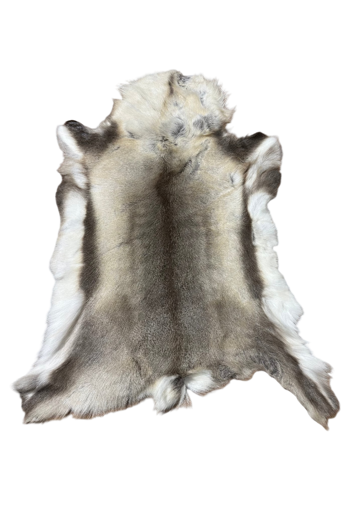 Reindeer hide